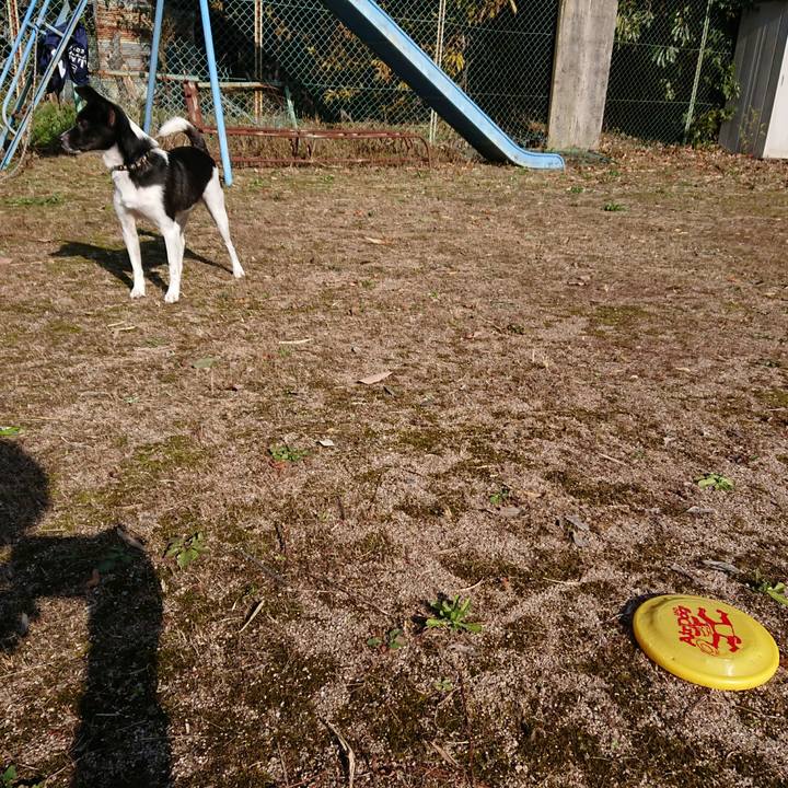 6eda66c7 7392 49cb 843f abbf9fc8bf12 1511748127627