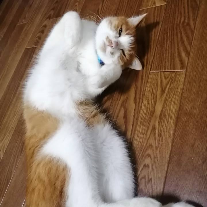 6edaca28 6391 4cb2 a00b 1c11a88bbe11 1630586214820