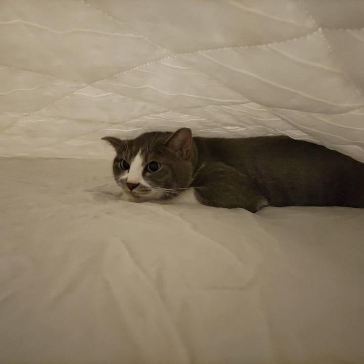 6edadddc 6a8a 4b7d b0df b77bccfdf894 1721997442103