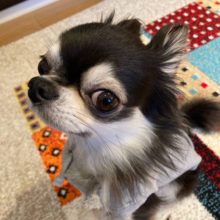 6edae1ca a243 441f aca7 85b605e08fe0 1712400488675