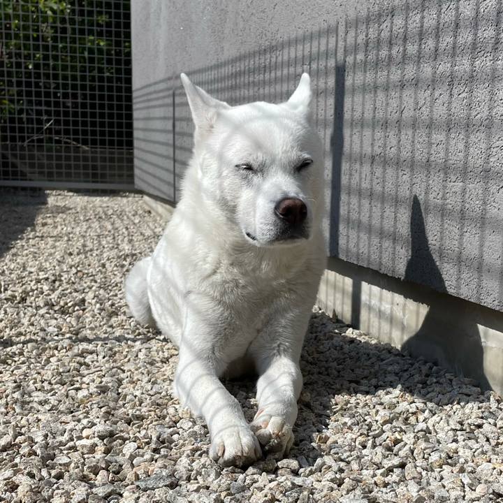 6edae675 52cd 4755 86a2 ca05d10f6670 1618727879022