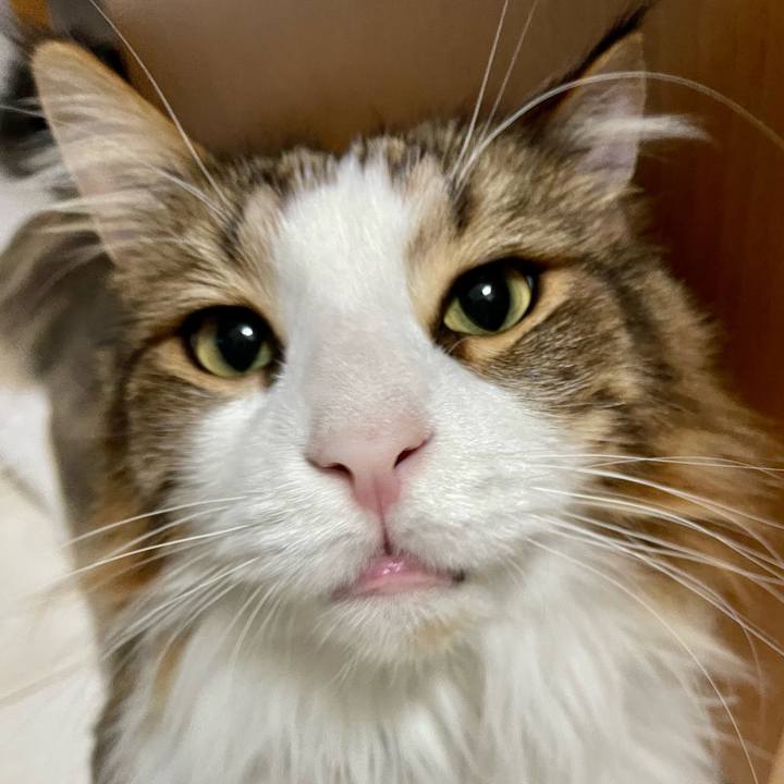 6edb1a14 8e54 4404 b16d 4e5cf560faa7 1689366315852