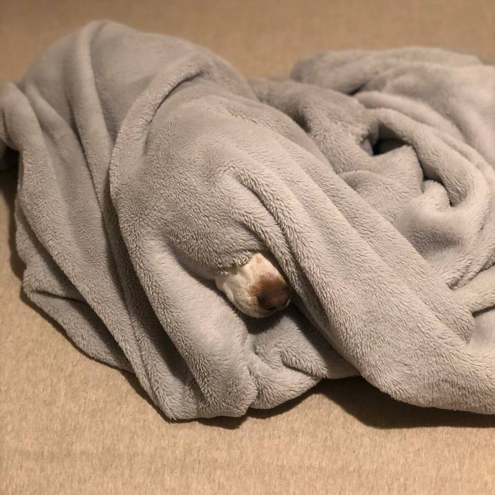 6edc46ac 67d5 4715 a242 df87405af922 1579847598967