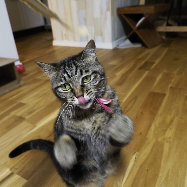 6edc4902 f5bd 4216 b36d 42d233267172 1625910419299