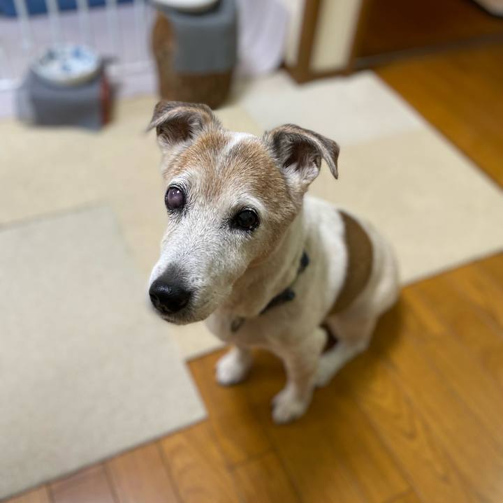 6edc5f6a a853 4c6b 8a18 ed22aac12503 1670279465871