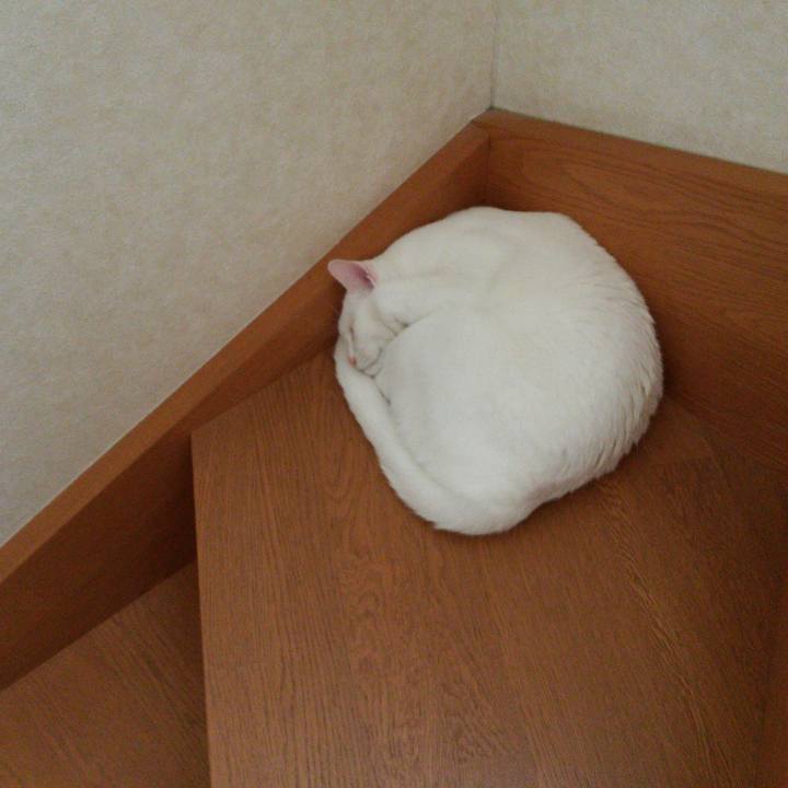 6edc7c88 f15e 41fa be8f 38f496f7d780 1528344618327