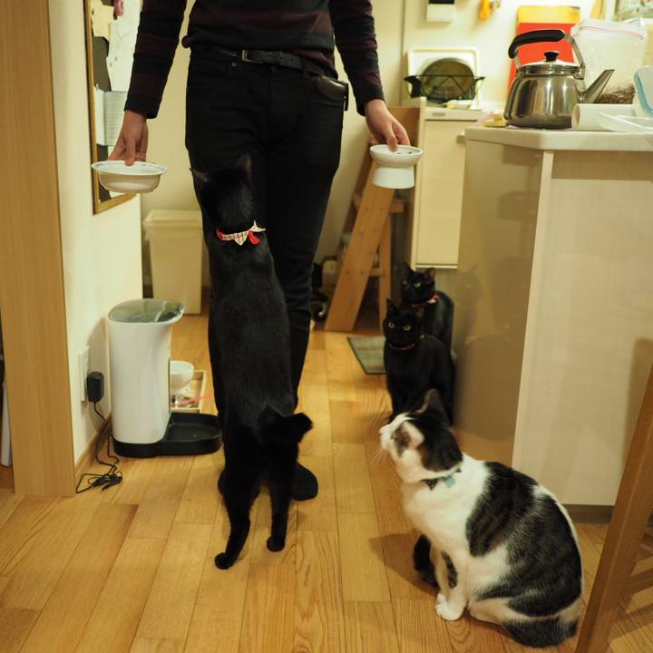 6edcca82 0c95 45a6 b0ea d1f98c205a73 1545747694732