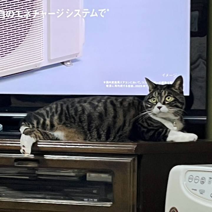 6edcd077 a931 416f af6f a247cf6a67a5 1764376178228