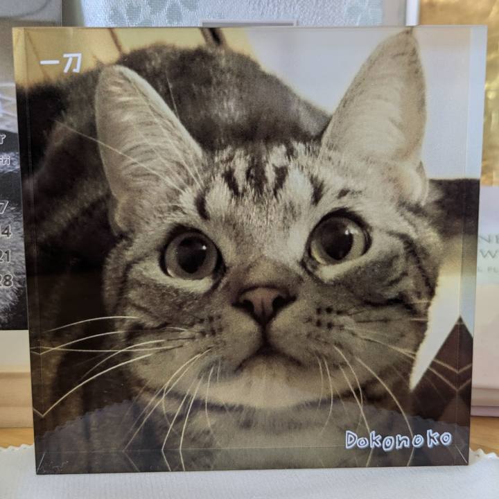 6edd12ca 52d8 4799 b8f7 8d9b3fbaeaba 1752810825806