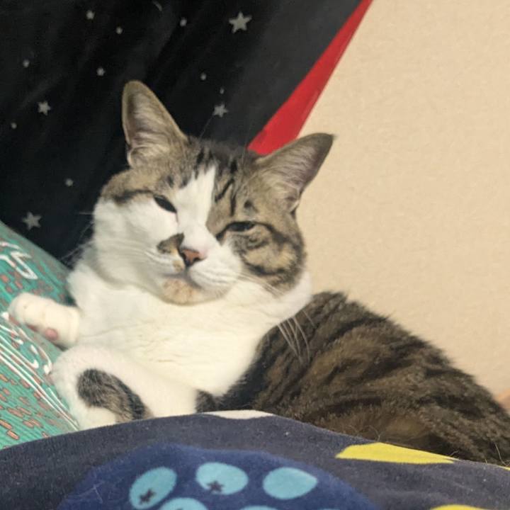 6edd2c16 e14d 4cbe bca2 70a67f2947c3 1768998827962