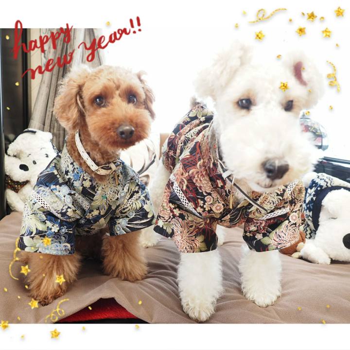 6edd2f98 b713 43e5 8b31 ca2f8f03f698 1514806336483