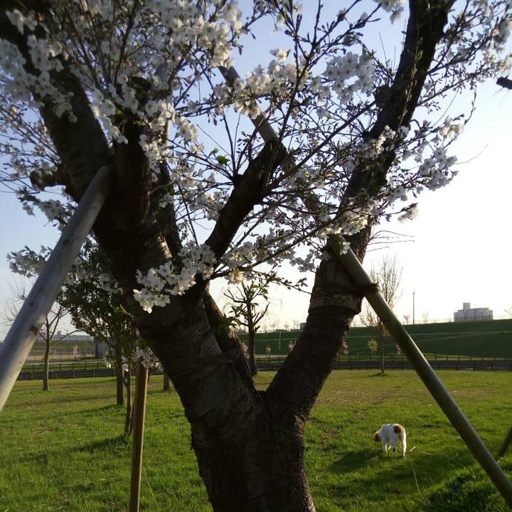 6edd365b efd6 430d b08a 18e983814ee6 1522149645419