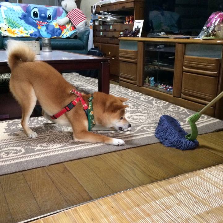 6edd4f7f ba25 4809 8e4e 41f262a89a76 1535771867789