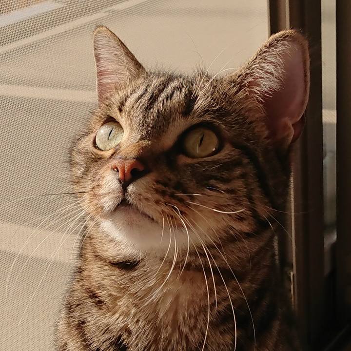 6edd63dd ee18 4585 a79d ac031dc1cd2b 1581889902250