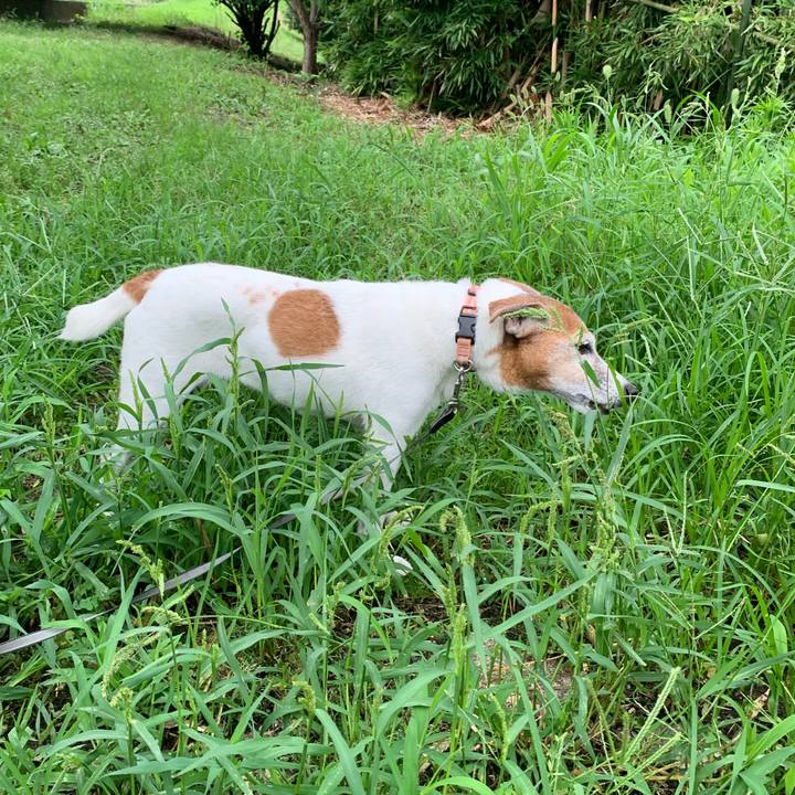 6edd96e8 2140 4f51 a83a d531764ecf7f 1625737627496