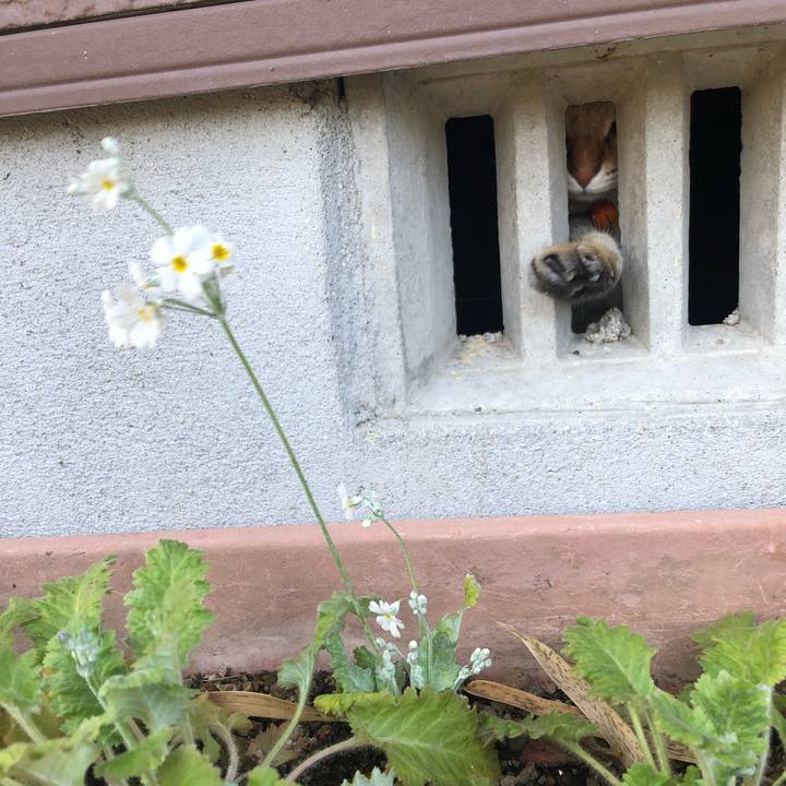 6edd9841 5000 4584 9b57 d3a6828d36b5 1609736437647