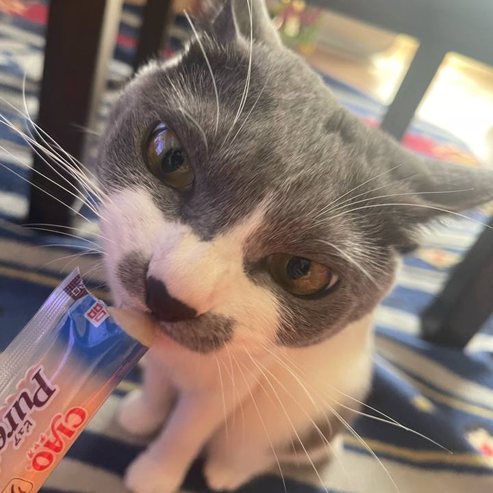 6eddc226 a27a 47c7 8f75 3220dc764bd9 1664778779066