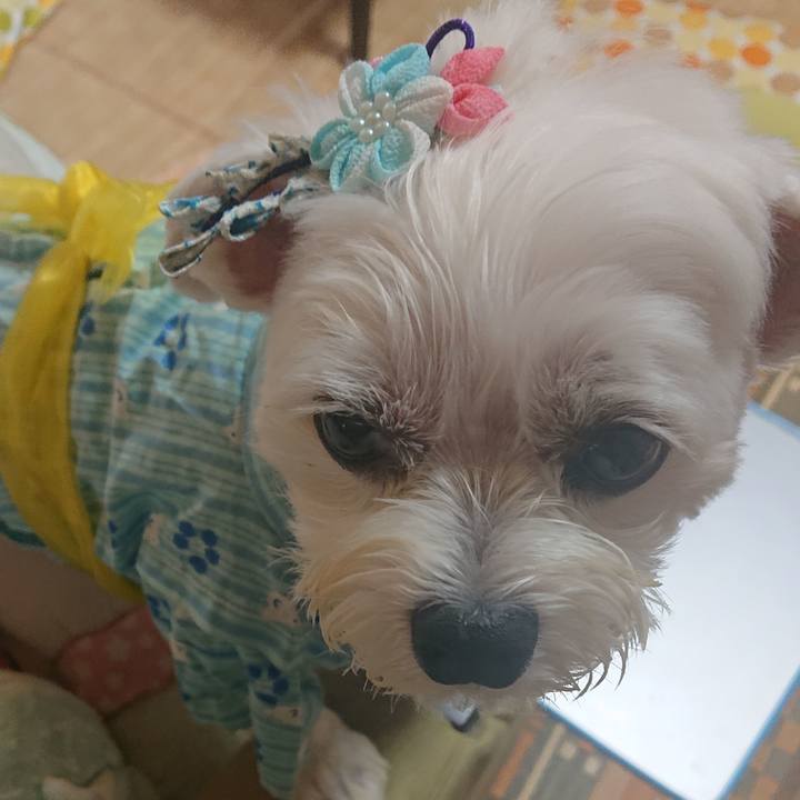 6eddc9c5 68af 4b93 a772 3557fa2d98ba 1595920338310