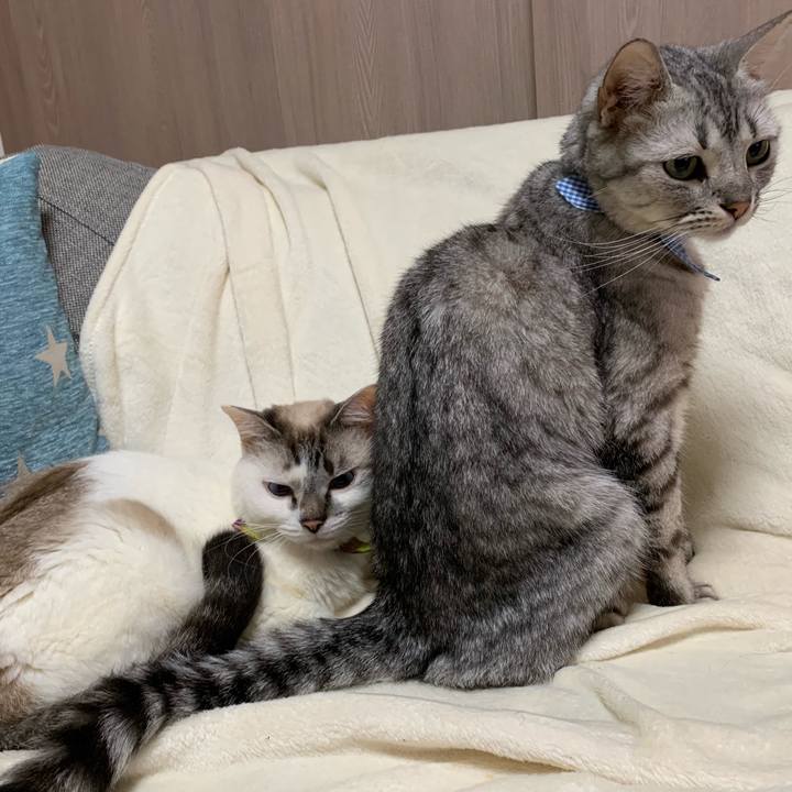 6eddf04f 5ff8 4104 9d9c 2414903c5b31 1563722570454