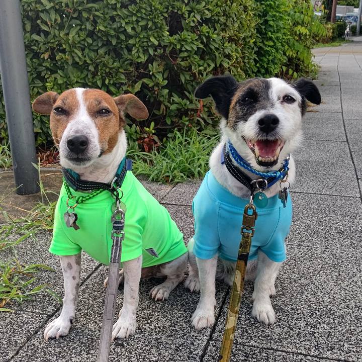 6ede8c1b a815 433c 9c6d 5f02750732d7 1692747248399