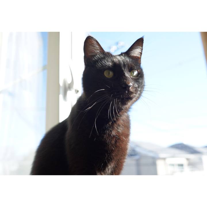 6edec946 48b4 43c0 a986 c2f6b4b99bdf 1667705629336