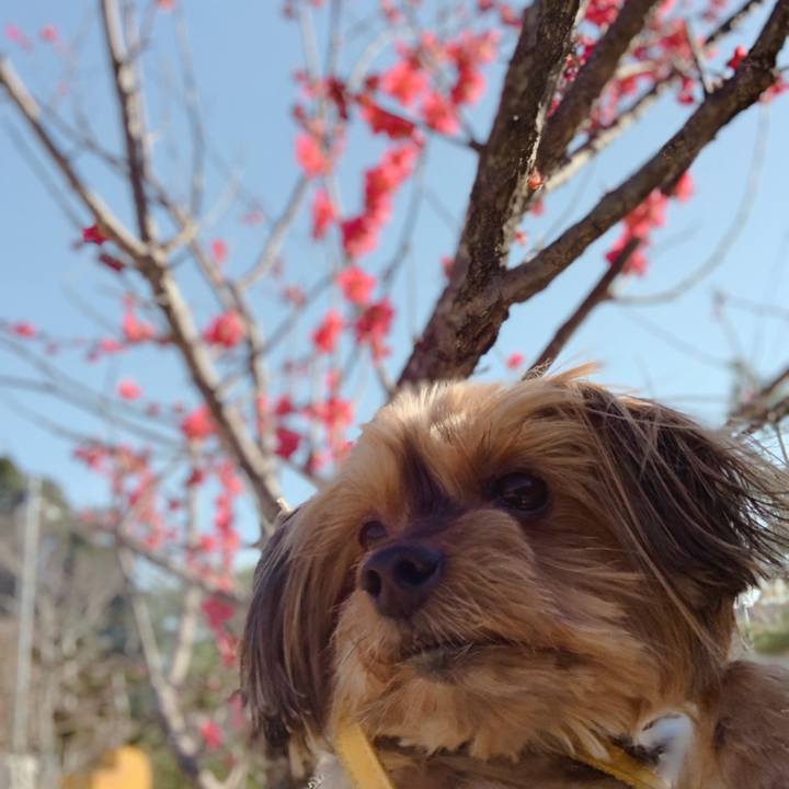 6eded3fa beb7 4622 a7eb 6fd860941b52 1614159755440