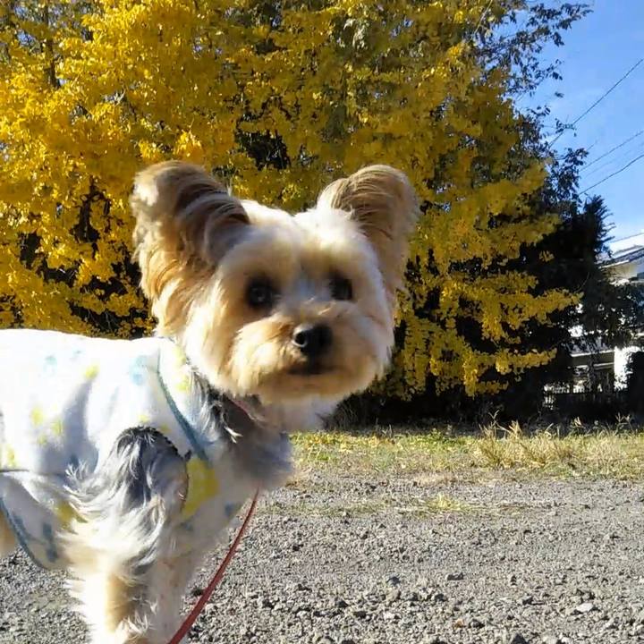 6edefc8d 6aa1 466d 8e56 6a693d172af1 1638167975181