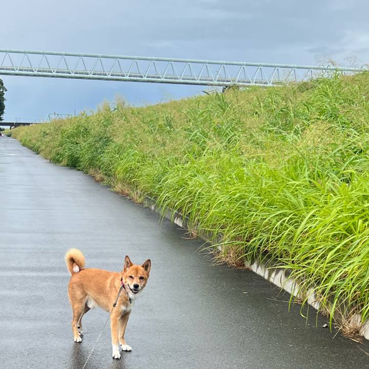 6edf5a7e bde9 4093 8004 ea01bf0301e2 1754090003593