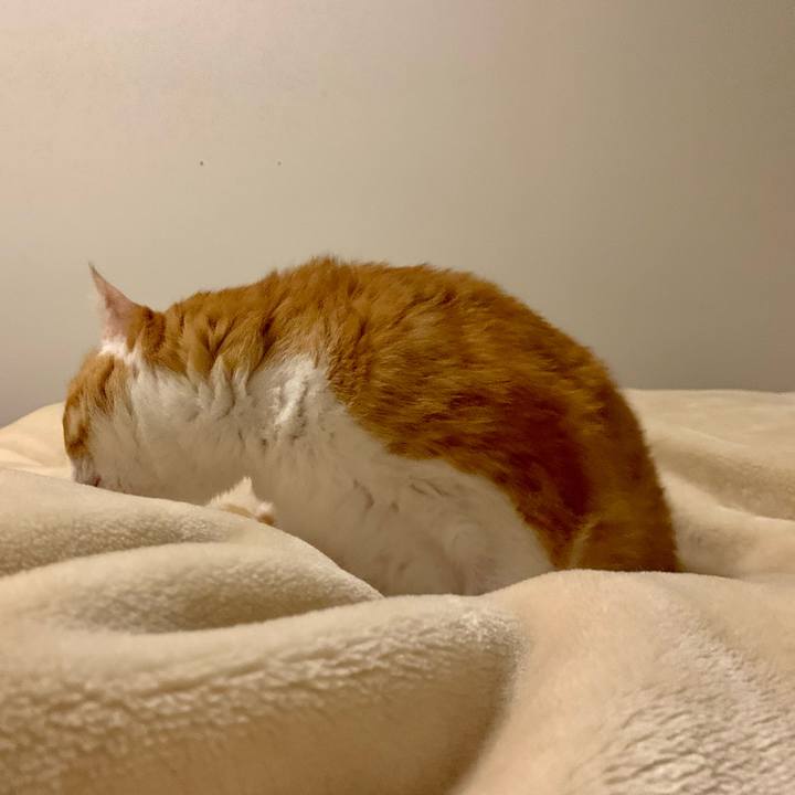 6edf6b31 bbb1 49ad bdd1 1f46e0872a3b 1680998126207