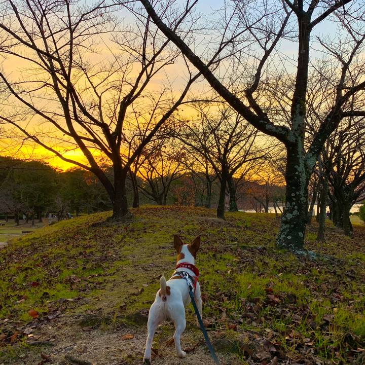 6edf6b72 46ff 4684 8239 76c317141ef8 1542444663481