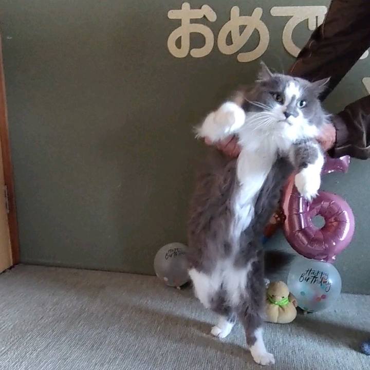 6edf9e39 f275 41cc 8ea0 f2730a60d757 1746046279461