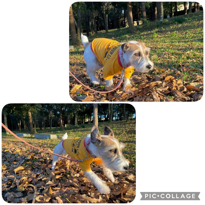 6edfa37c 0895 467f 8374 f000a5305938 1637137096092