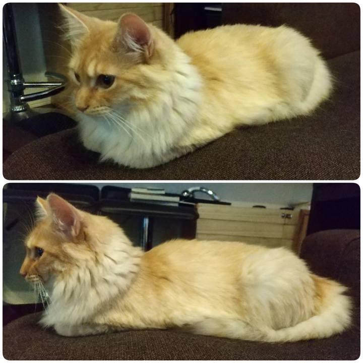 6ee00adf 3e7c 4814 b9c6 db4fab283e1a 1623801614664