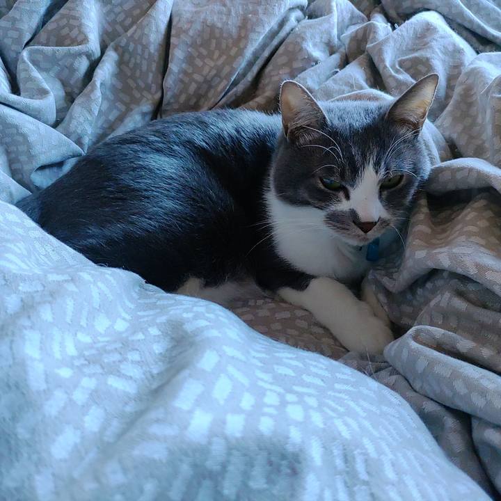 6ee00bb9 4239 4d56 b046 06f2ada246e9 1705459369406