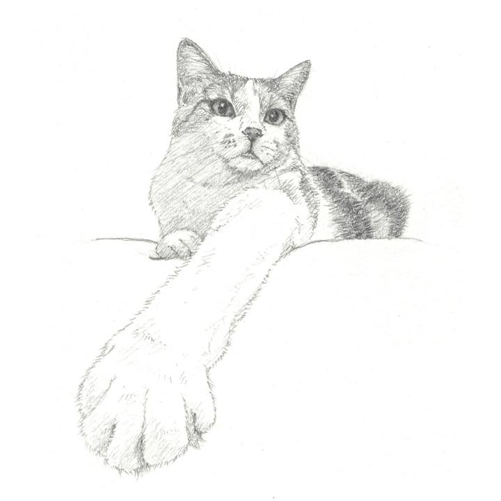 6ee0248e 3eed 497a b3b5 318885e0c07d 1553781639442