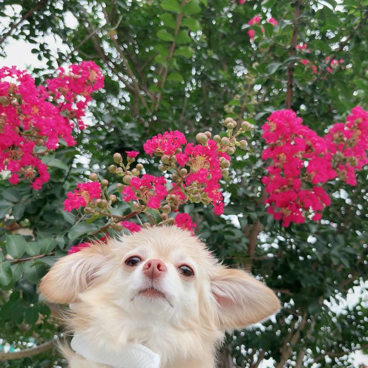 6ee06978 d955 4c3e 973b f000fd2aaa59 1720517188621