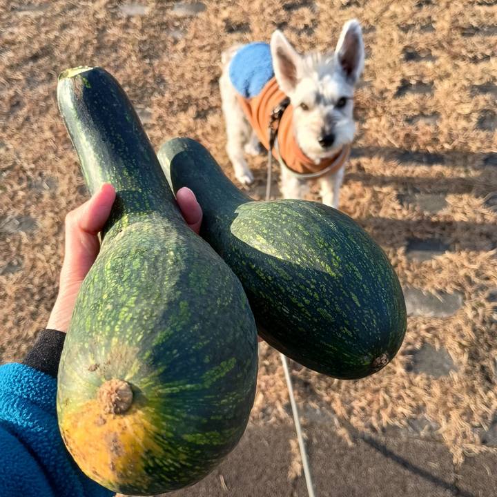 6ee08a97 f98e 49d3 9b12 21ede828d240 1763555911620