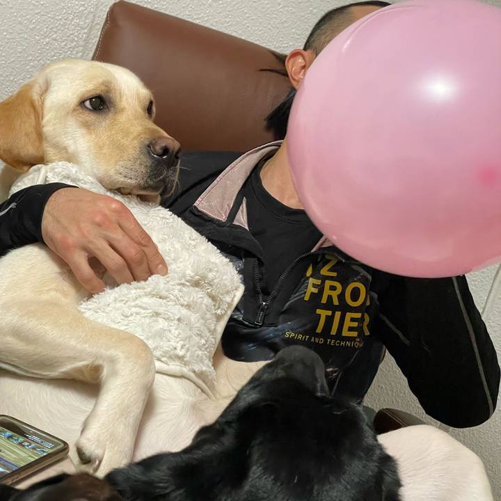 6ee0b4c2 a2a9 47f7 a4a9 d4ed0d536484 1674552787292