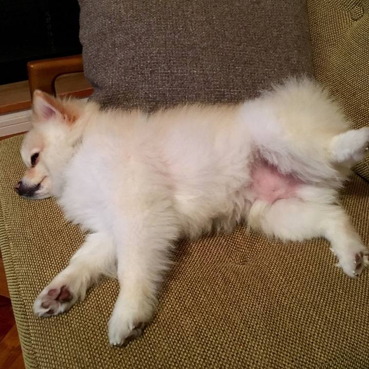 6ee0cee3 de5c 4e65 9890 62cecc3936c6 1544532358500