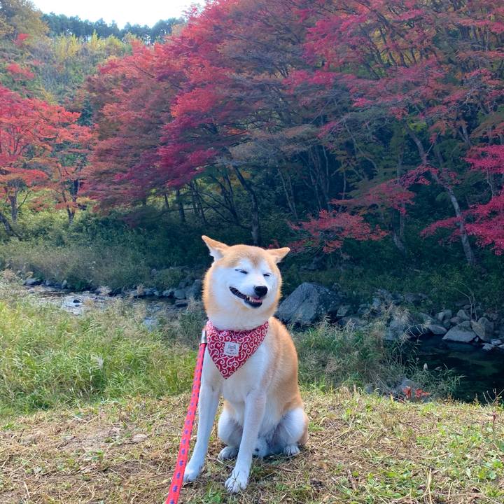 6ee12212 cbd1 4226 b377 88809dd11167 1667903803172