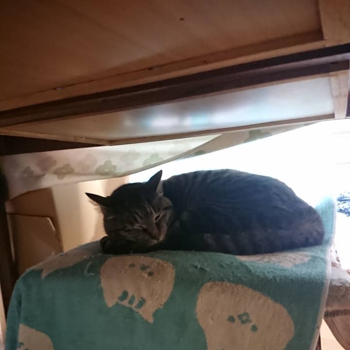 6ee19b3e b682 499c 808d 17fffd1c1646 1655036669821