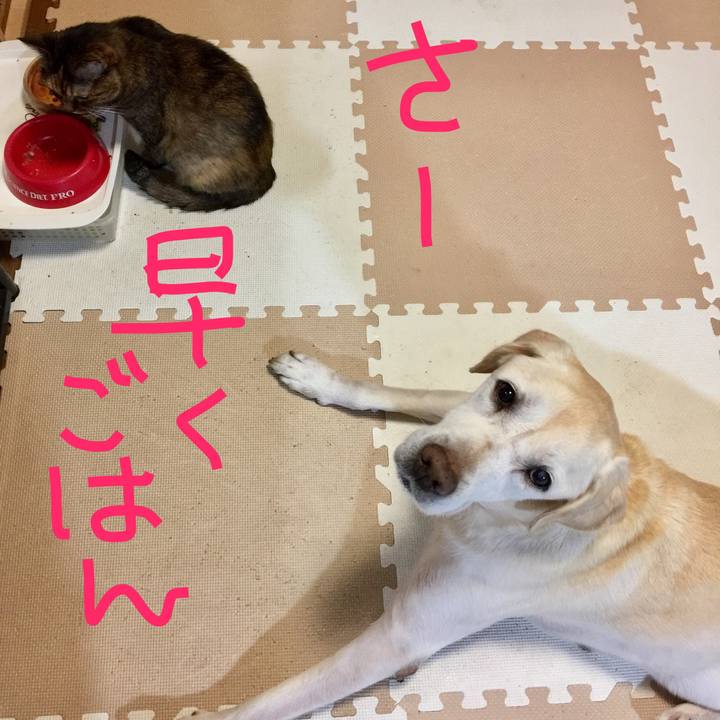 6ee1a007 4d5d 479a 8394 4343a4601057 1634398946543