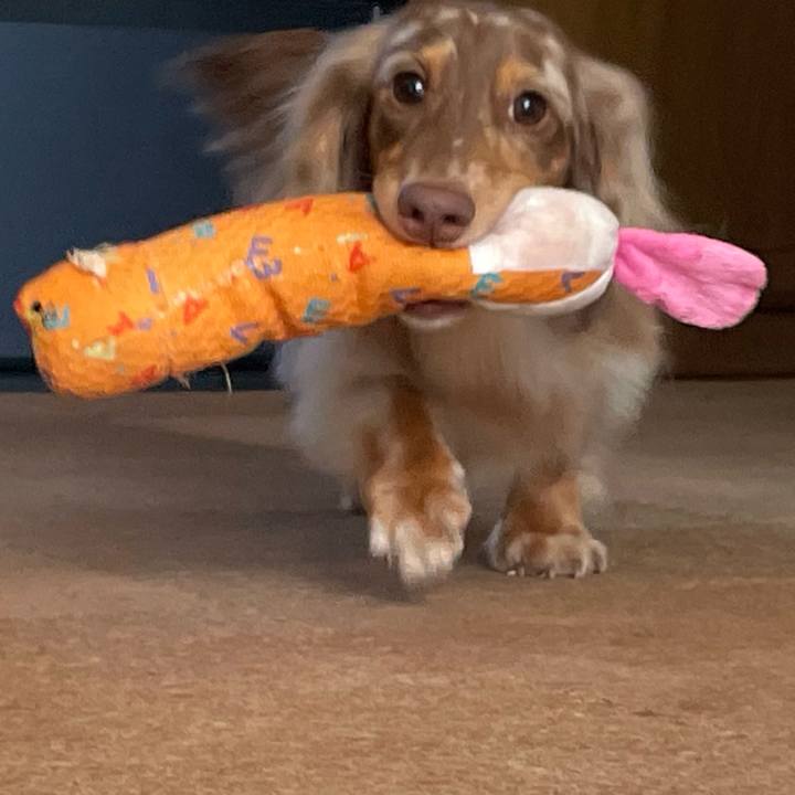 6ee1e761 acb5 4b5a 871b c403eb11039f 1761783022443