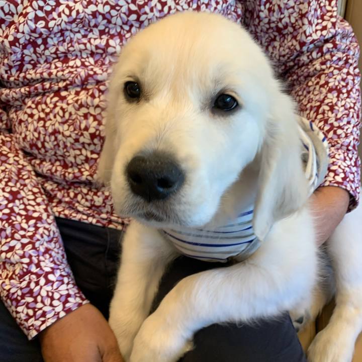 6ee1eab5 d159 43fb a962 17518861886d 1619351312900