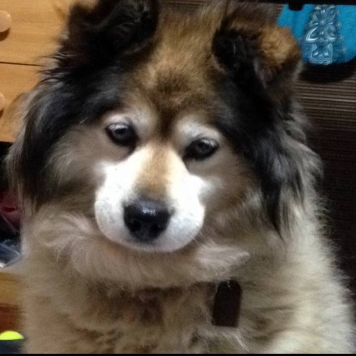 6ee20185 261a 4186 abbf b8bfec9df386 1638847316888