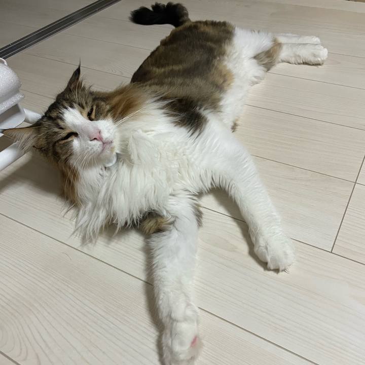 6ee20faa 84ad 4021 8468 1f7d28039bad 1693165821794