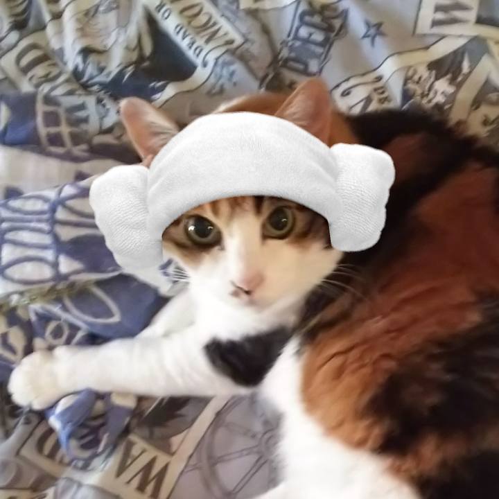 6ee23503 3398 4081 9486 0813d3e71bad 1570194133422