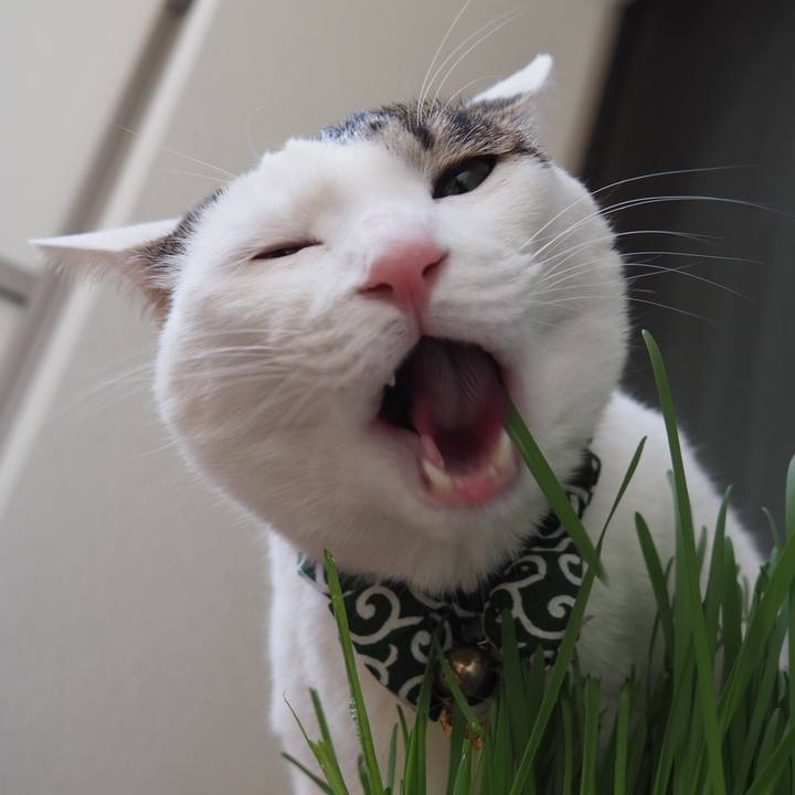 6ee2aa49 2c02 4786 bd5c acca11dca113 1523941424865