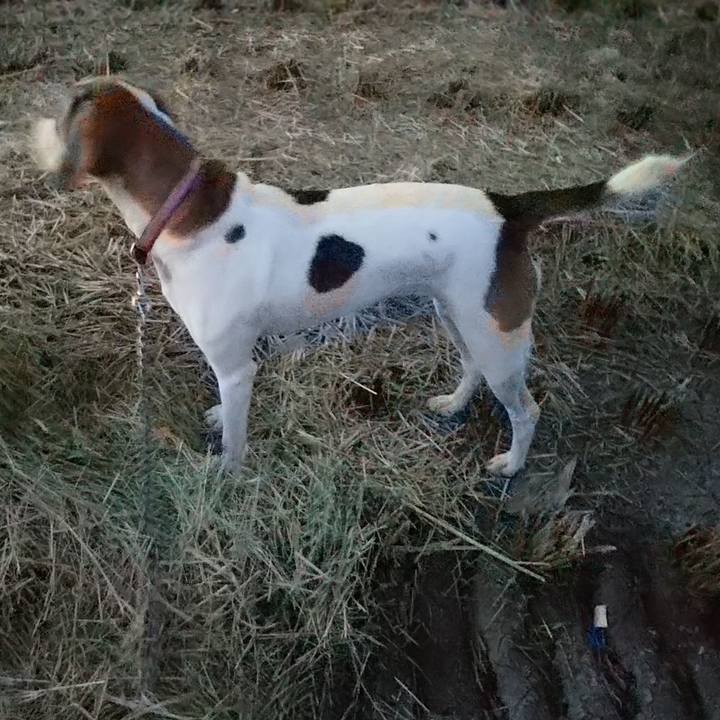 6ee2ee57 a36c 443a 9dbc fa2df38059a9 1601888968929