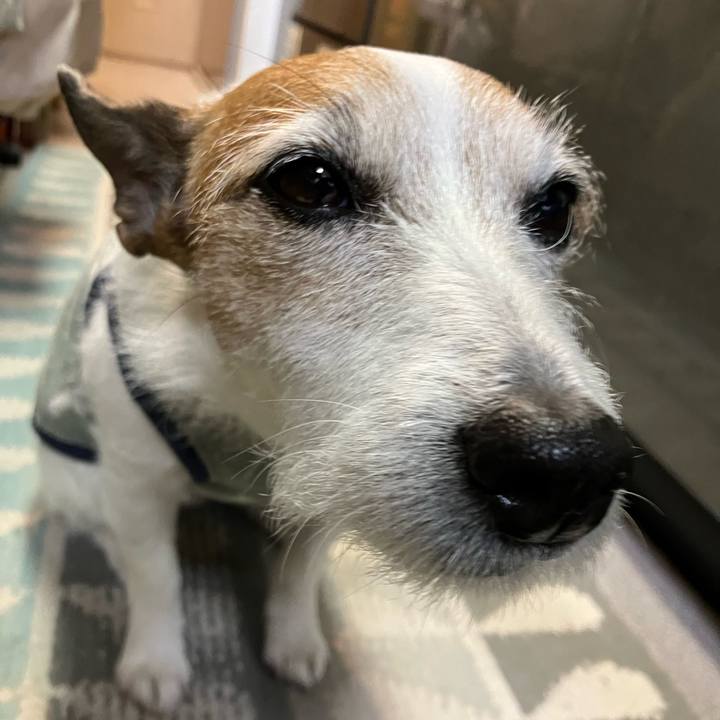 6ee301d9 e428 4b28 bea0 560c3197756d 1677712916369